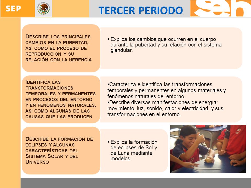 TERCER PERIODO Explica los cambios que ocurren en el cuerpo durante la pubertad y su relación con el sistema glandular.