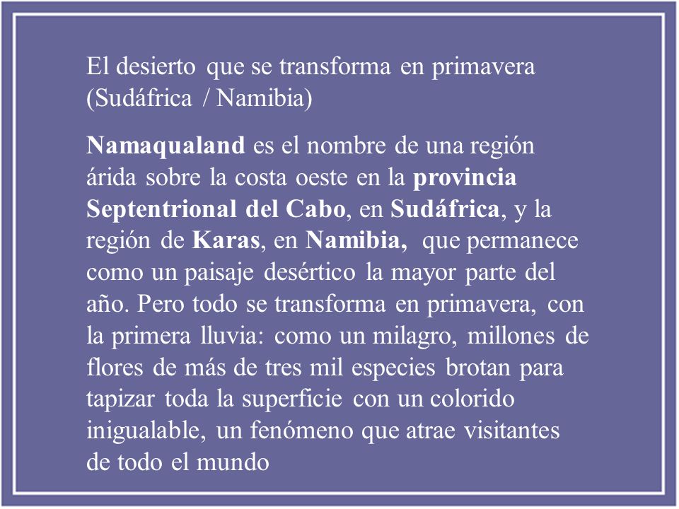 El desierto que se transforma en primavera (Sudáfrica / Namibia)