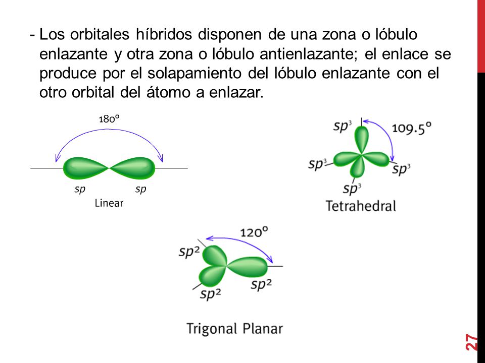 - Los orbitales híbridos disponen de una zona o lóbulo enlazante y otra zona o lóbulo antienlazante; el enlace se produce por el solapamiento del lóbulo enlazante con el otro orbital del átomo a enlazar.