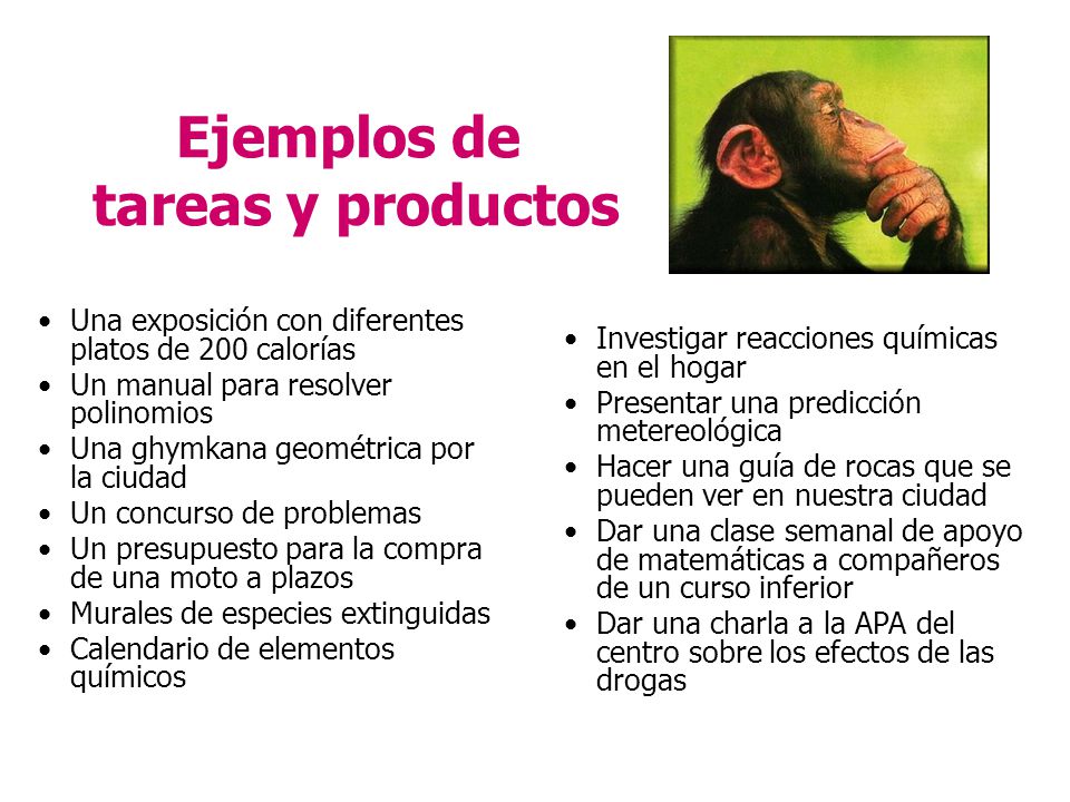 Ejemplos de tareas y productos
