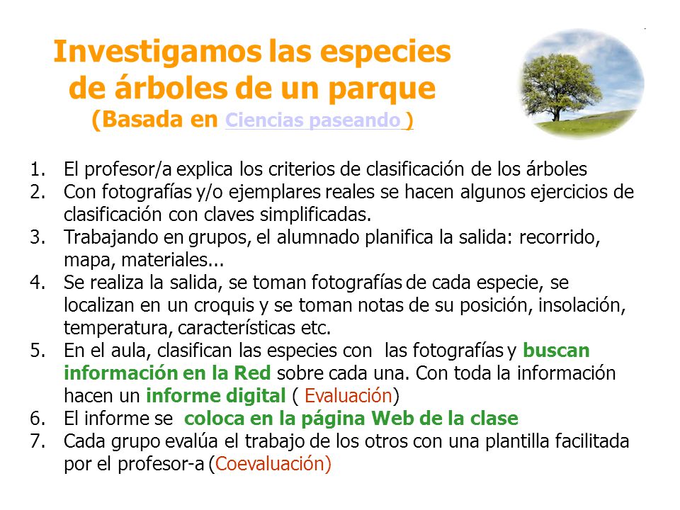 Investigamos las especies de árboles de un parque (Basada en Ciencias paseando )