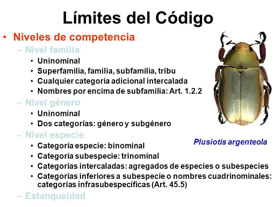 Límites del Código Niveles de competencia Nivel familia Nivel género