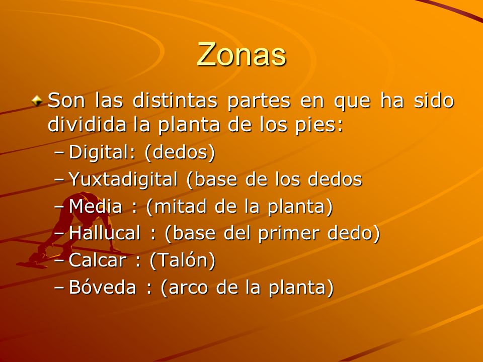 Zonas Son las distintas partes en que ha sido dividida la planta de los pies: Digital: (dedos) Yuxtadigital (base de los dedos.