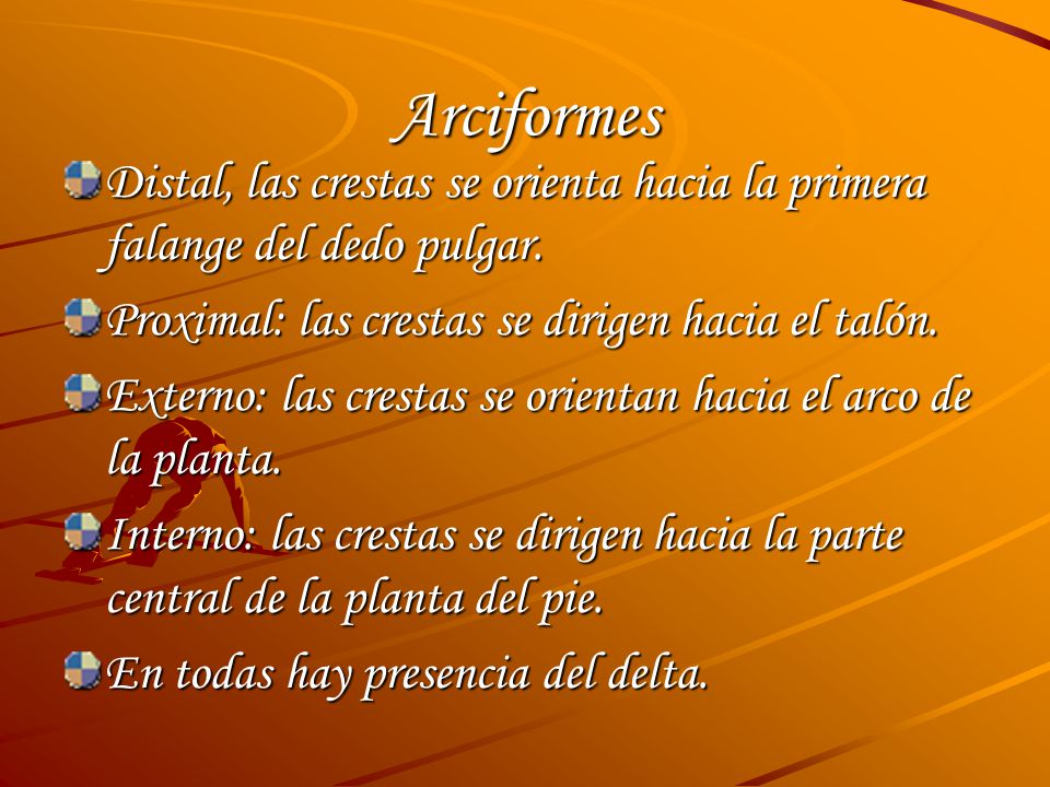 Arciformes Distal, las crestas se orienta hacia la primera falange del dedo pulgar. Proximal: las crestas se dirigen hacia el talón.