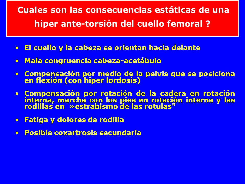 El cuello y la cabeza se orientan hacia delante
