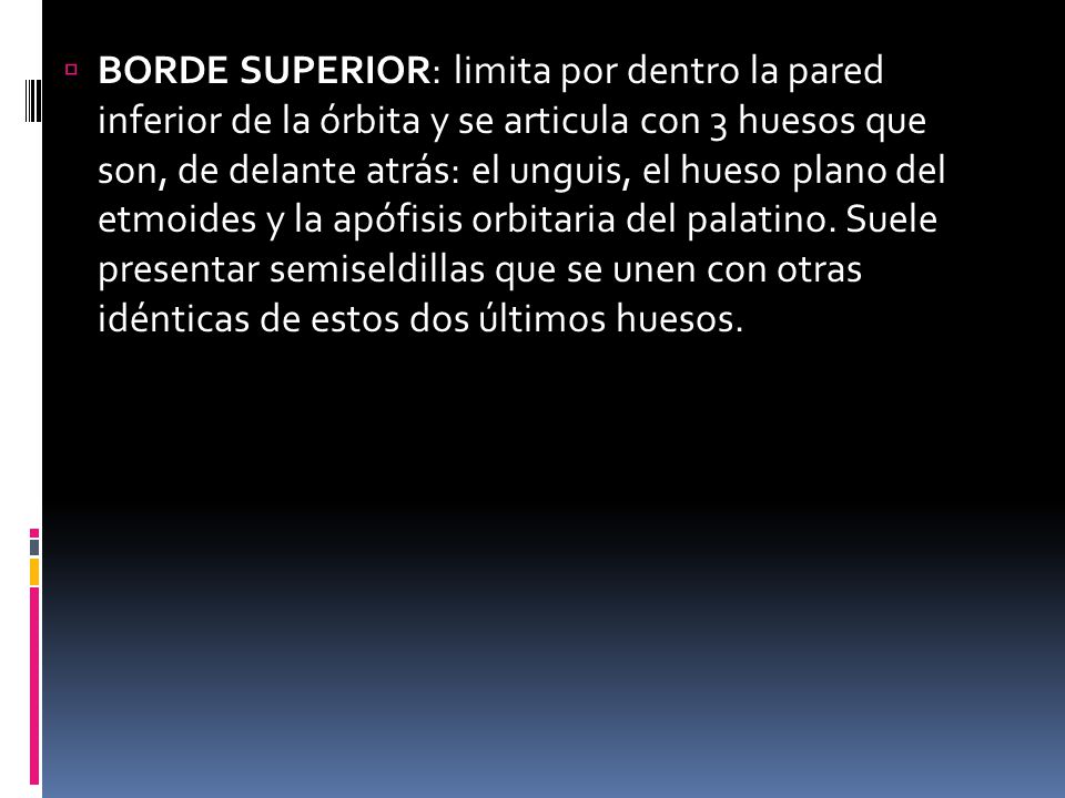 BORDE SUPERIOR: limita por dentro la pared inferior de la órbita y se articula con 3 huesos que son, de delante atrás: el unguis, el hueso plano del etmoides y la apófisis orbitaria del palatino.