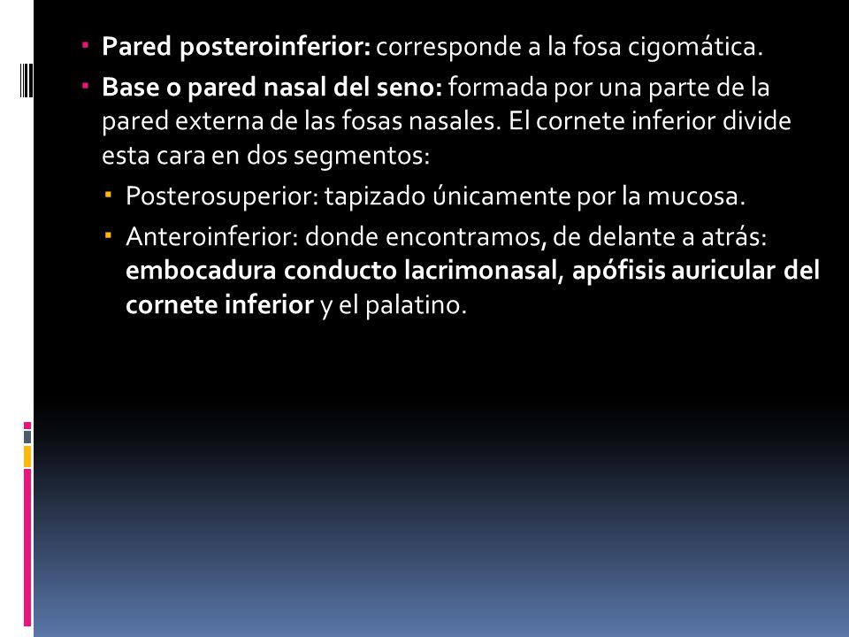 Pared posteroinferior: corresponde a la fosa cigomática.