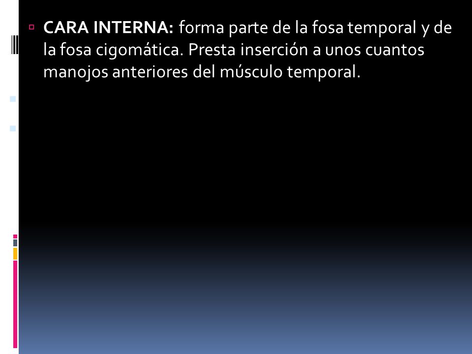 CARA INTERNA: forma parte de la fosa temporal y de la fosa cigomática