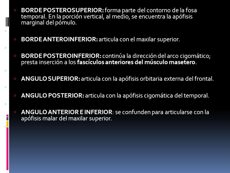 BORDE POSTEROSUPERIOR: forma parte del contorno de la fosa temporal