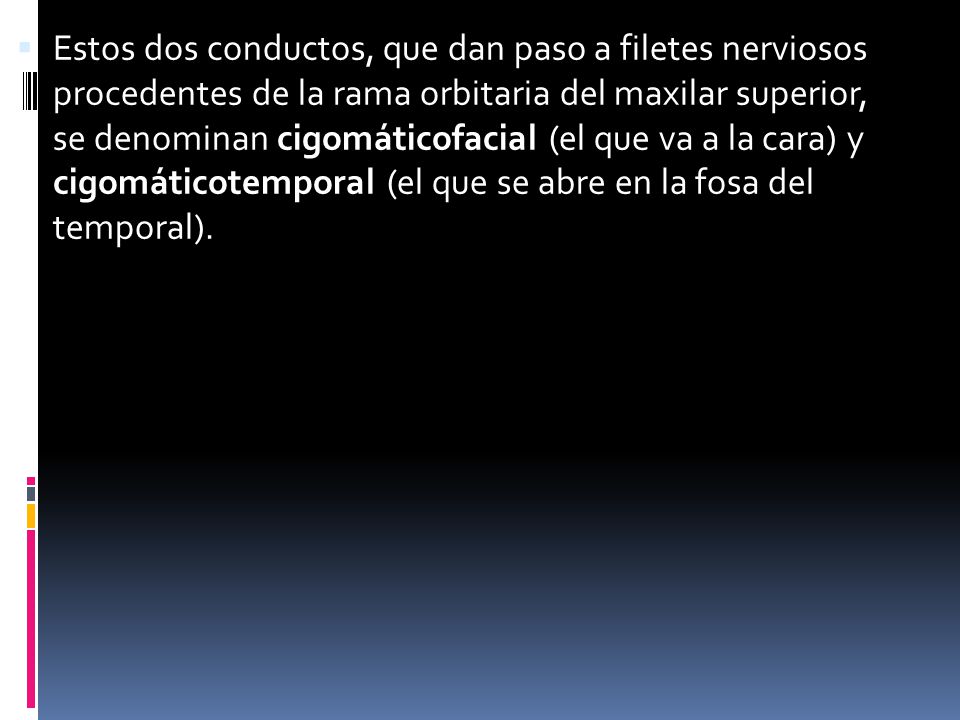 Estos dos conductos, que dan paso a filetes nerviosos procedentes de la rama orbitaria del maxilar superior, se denominan cigomáticofacial (el que va a la cara) y cigomáticotemporal (el que se abre en la fosa del temporal).