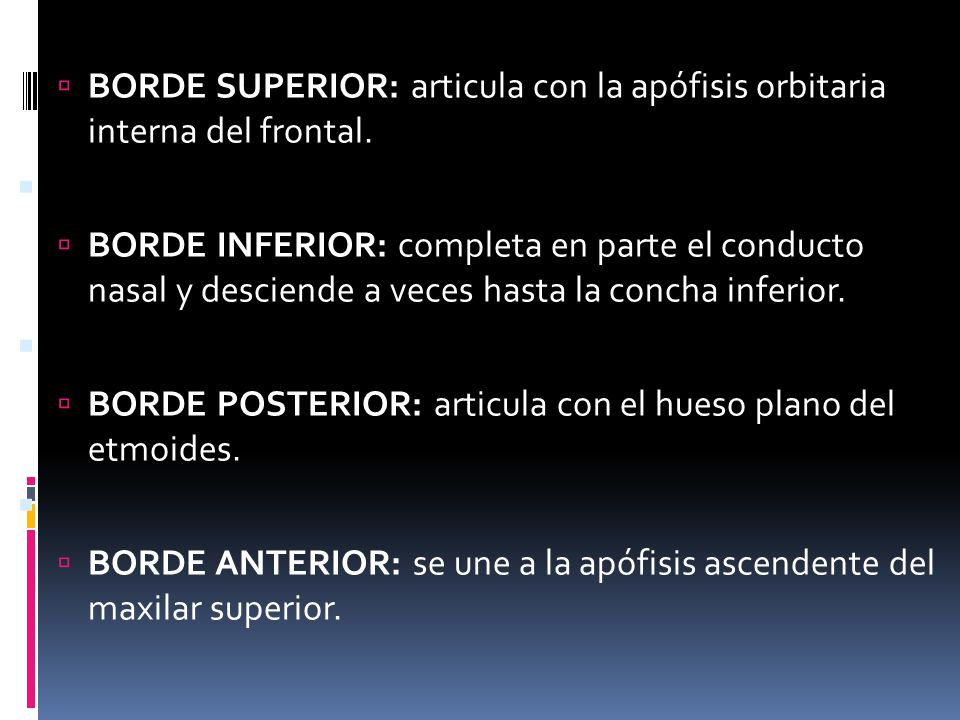 BORDE SUPERIOR: articula con la apófisis orbitaria interna del frontal.