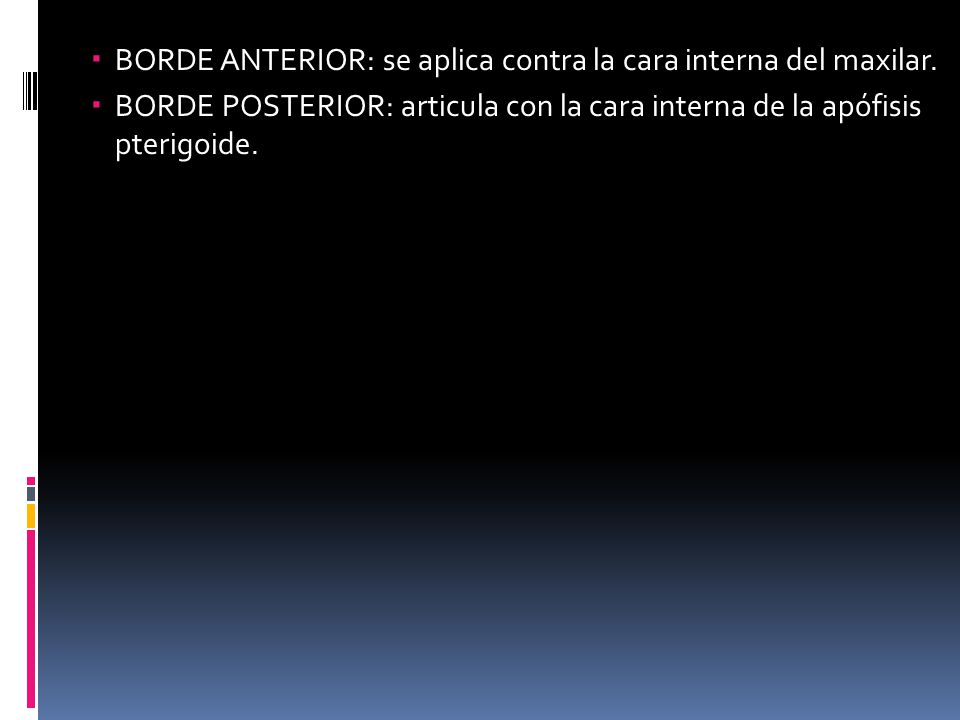 BORDE ANTERIOR: se aplica contra la cara interna del maxilar.