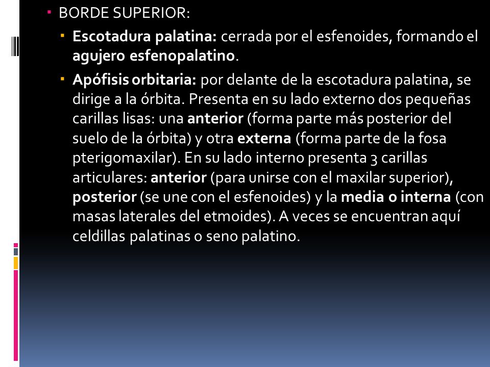 BORDE SUPERIOR: Escotadura palatina: cerrada por el esfenoides, formando el agujero esfenopalatino.