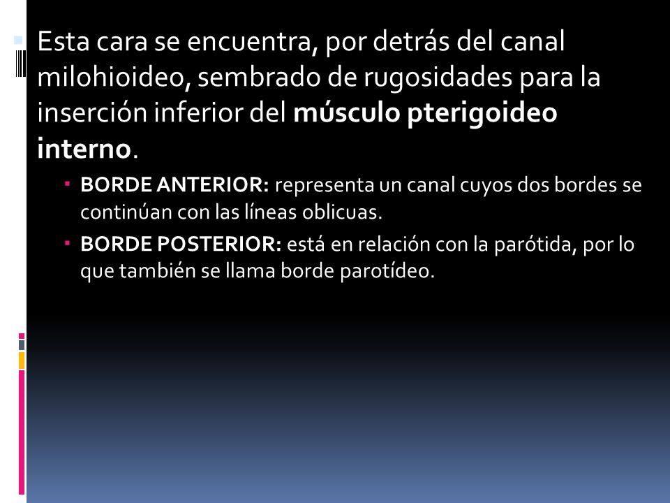 Esta cara se encuentra, por detrás del canal milohioideo, sembrado de rugosidades para la inserción inferior del músculo pterigoideo interno.