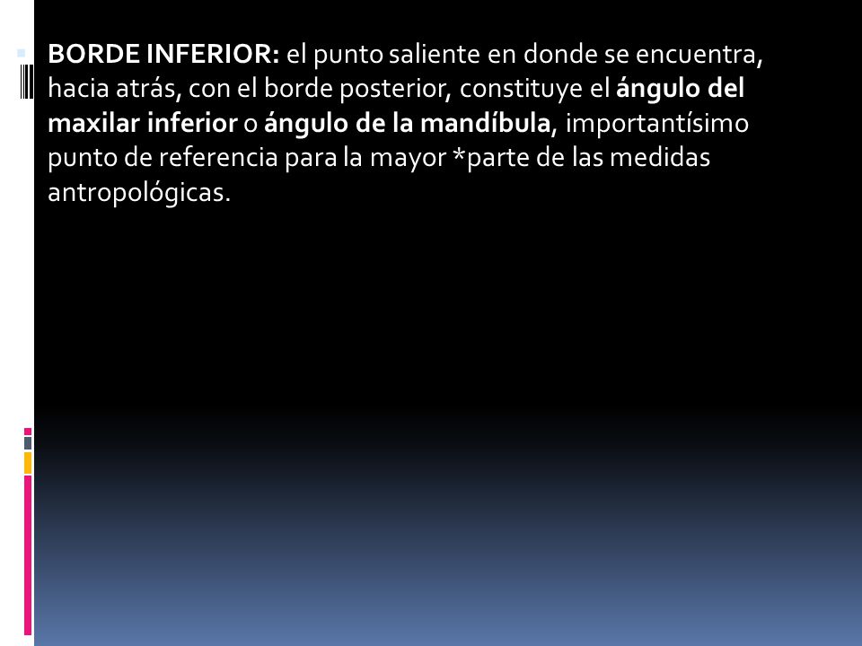 BORDE INFERIOR: el punto saliente en donde se encuentra, hacia atrás, con el borde posterior, constituye el ángulo del maxilar inferior o ángulo de la mandíbula, importantísimo punto de referencia para la mayor *parte de las medidas antropológicas.