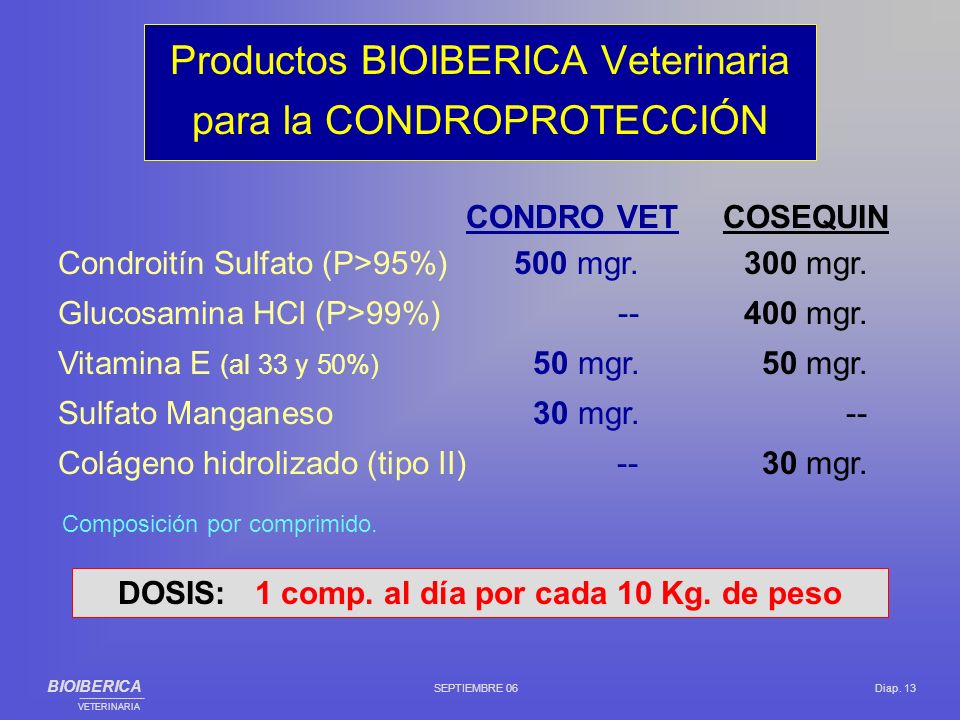 Productos BIOIBERICA Veterinaria para la CONDROPROTECCIÓN