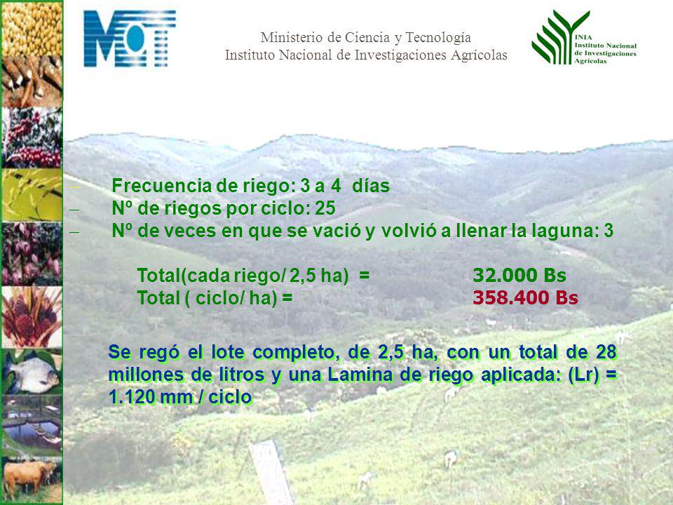 - Frecuencia de riego: 3 a 4 días - Nº de riegos por ciclo: 25 - Nº de veces en que se vació y volvió a llenar la laguna: 3