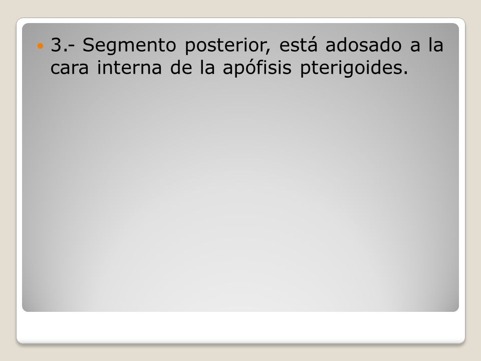 3.- Segmento posterior, está adosado a la cara interna de la apófisis pterigoides.
