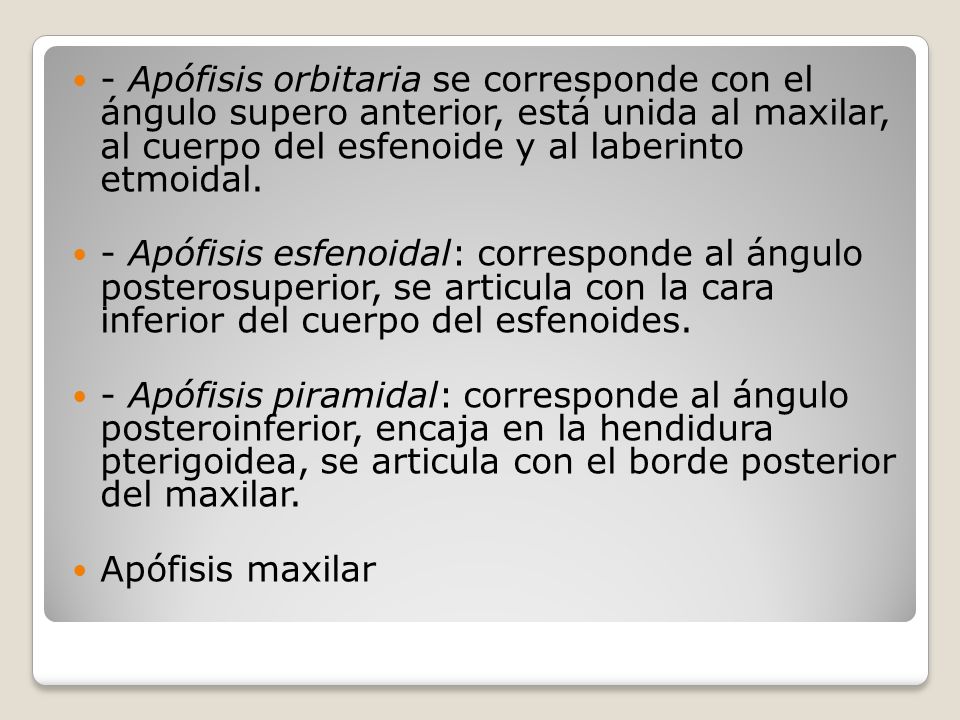 - Apófisis orbitaria se corresponde con el ángulo supero anterior, está unida al maxilar, al cuerpo del esfenoide y al laberinto etmoidal.