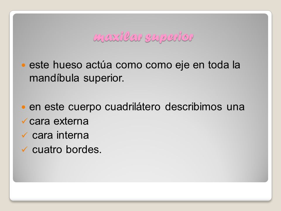 maxilar superior este hueso actúa como como eje en toda la mandíbula superior. en este cuerpo cuadrilátero describimos una.
