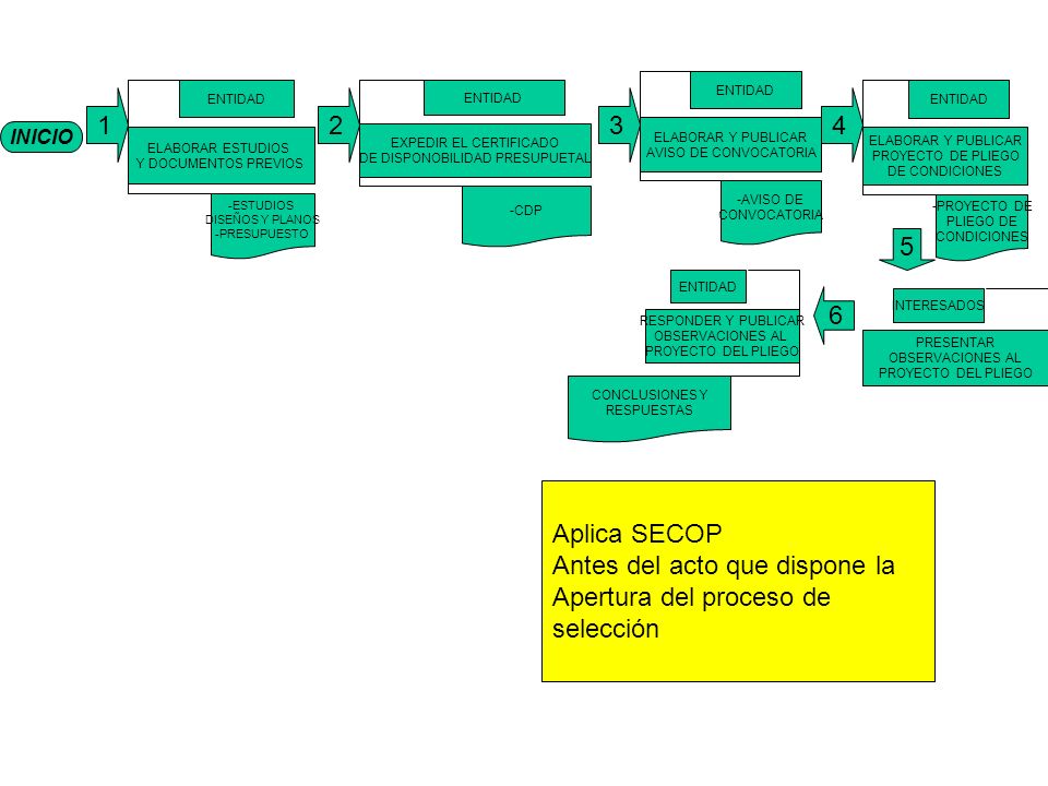 Antes del acto que dispone la Apertura del proceso de selección