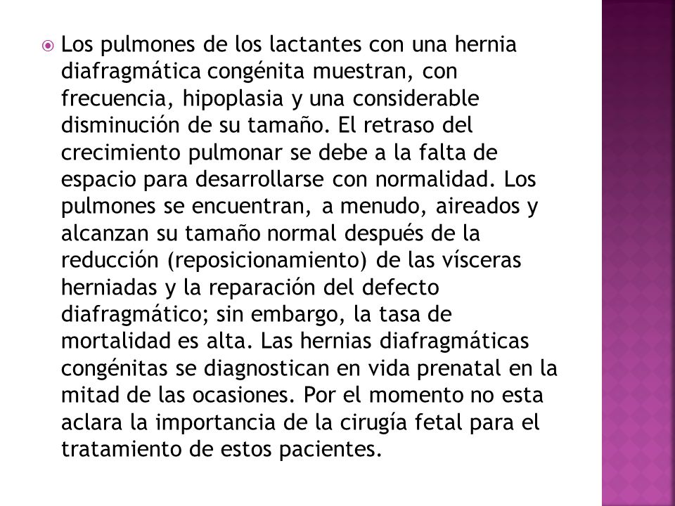 Los pulmones de los lactantes con una hernia diafragmática congénita muestran, con frecuencia, hipoplasia y una considerable disminución de su tamaño.