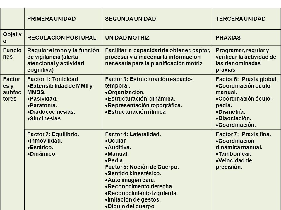 PRIMERA UNIDAD SEGUNDA UNIDAD. TERCERA UNIDAD. Objetivo. REGULACION POSTURAL. UNIDAD MOTRIZ. PRAXIAS.