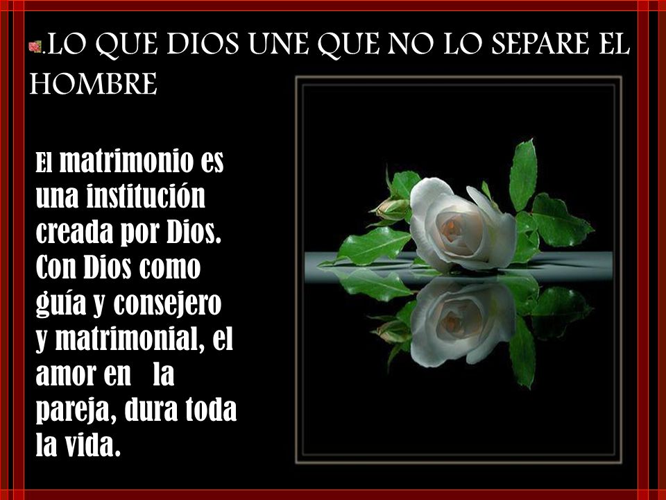 .LO QUE DIOS UNE QUE NO LO SEPARE EL HOMBRE