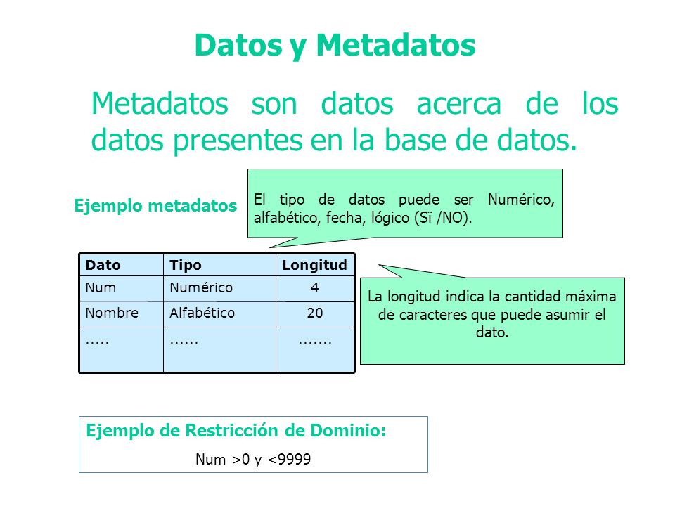 Metadatos son datos acerca de los datos presentes en la base de datos.