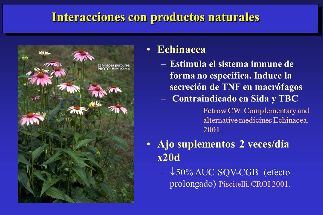 Interacciones con productos naturales