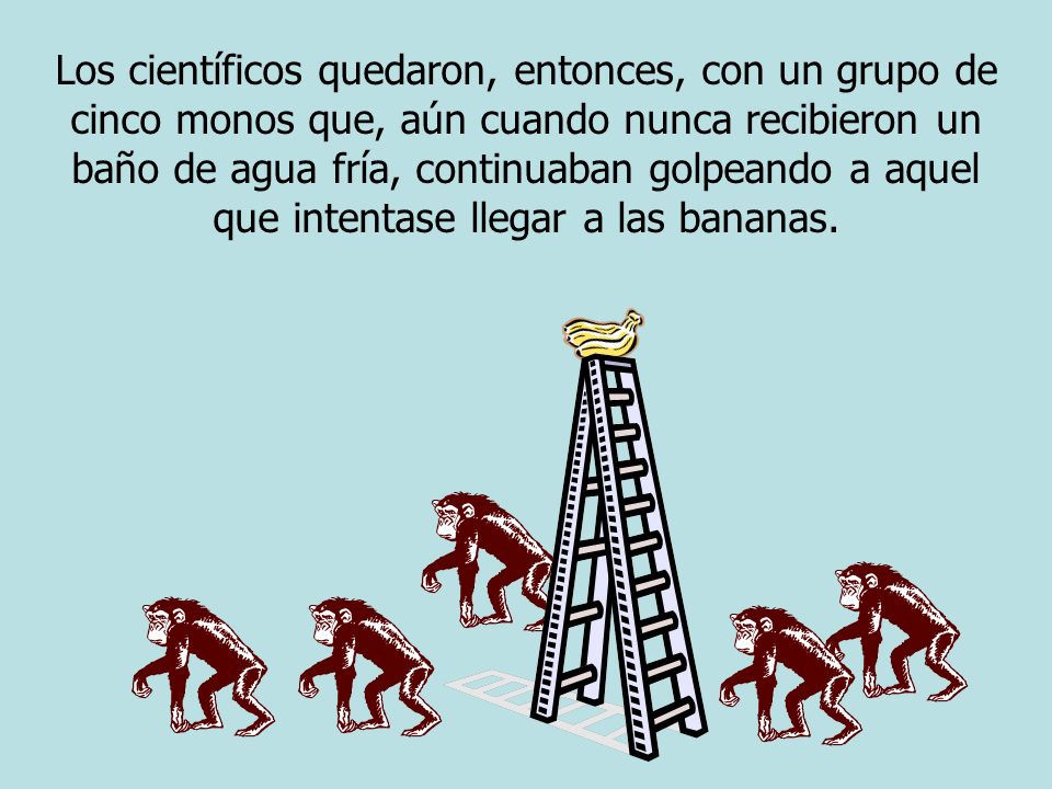 Los científicos quedaron, entonces, con un grupo de cinco monos que, aún cuando nunca recibieron un baño de agua fría, continuaban golpeando a aquel que intentase llegar a las bananas.