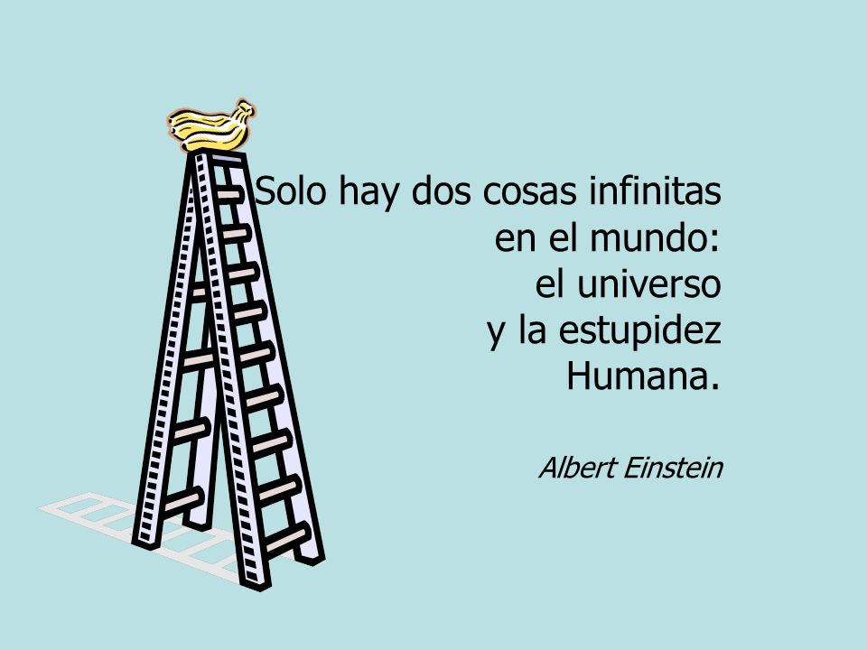 Solo hay dos cosas infinitas en el mundo: el universo y la estupidez