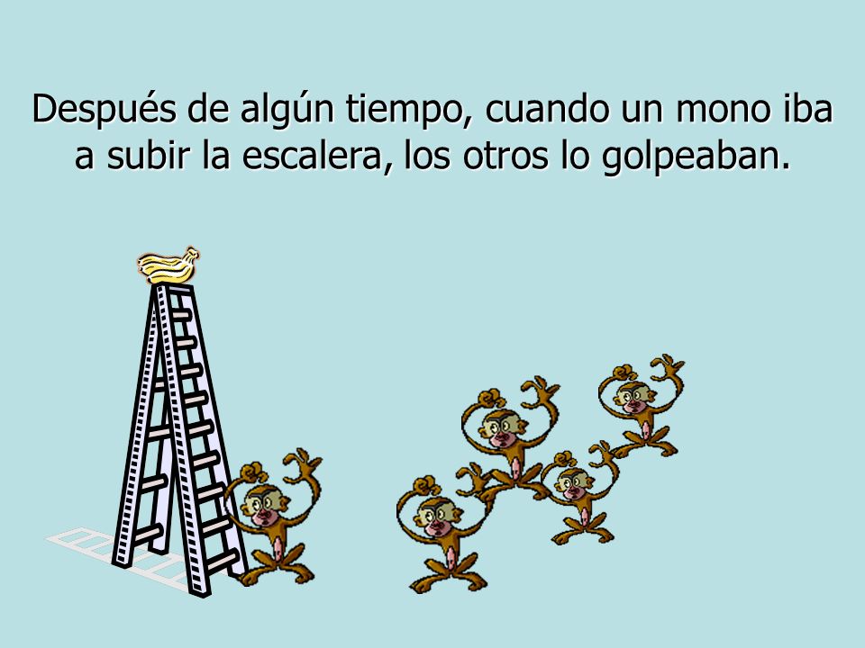 Después de algún tiempo, cuando un mono iba a subir la escalera, los otros lo golpeaban.