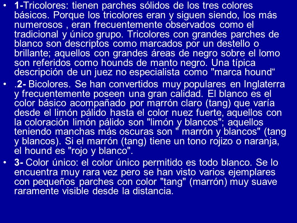 1-Tricolores: tienen parches sólidos de los tres colores básicos