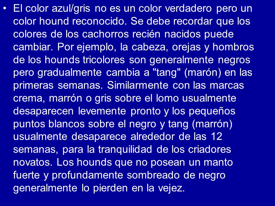 El color azul/gris no es un color verdadero pero un color hound reconocido.
