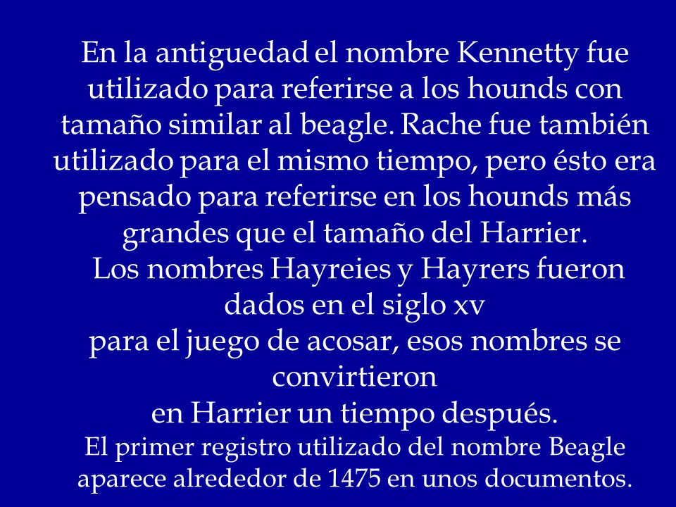 En la antiguedad el nombre Kennetty fue utilizado para referirse a los hounds con tamaño similar al beagle.