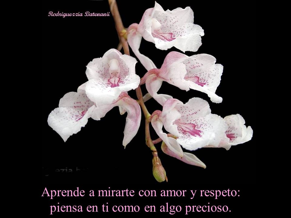 Aprende a mirarte con amor y respeto: piensa en ti como en algo precioso.