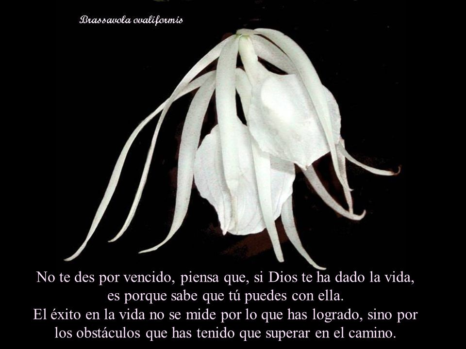 No te des por vencido, piensa que, si Dios te ha dado la vida, es porque sabe que tú puedes con ella.