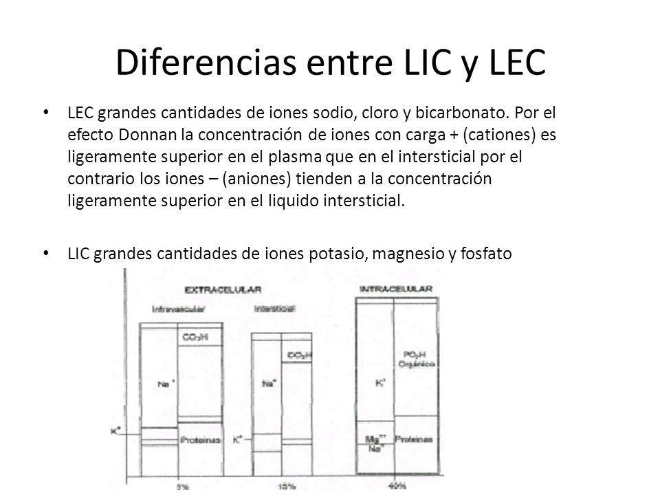 Diferencias entre LIC y LEC