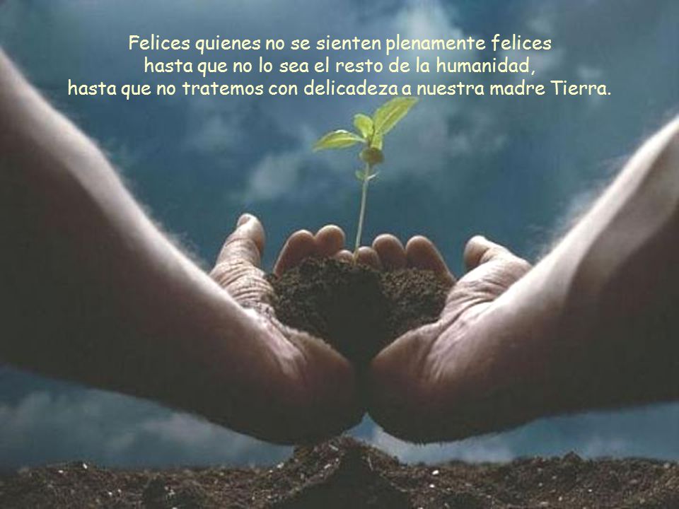 Felices quienes no se sienten plenamente felices hasta que no lo sea el resto de la humanidad, hasta que no tratemos con delicadeza a nuestra madre Tierra.