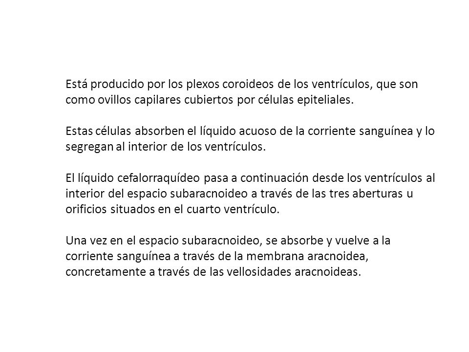Está producido por los plexos coroideos de los ventrículos, que son como ovillos capilares cubiertos por células epiteliales.
