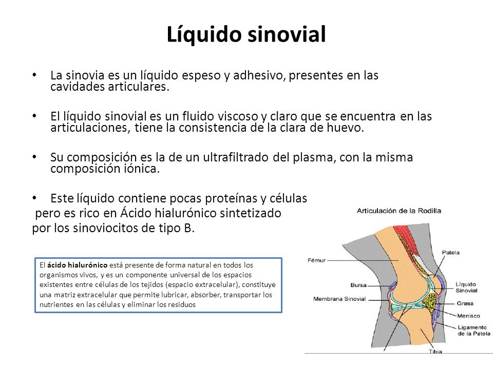 Líquido sinovial La sinovia es un líquido espeso y adhesivo, presentes en las cavidades articulares.