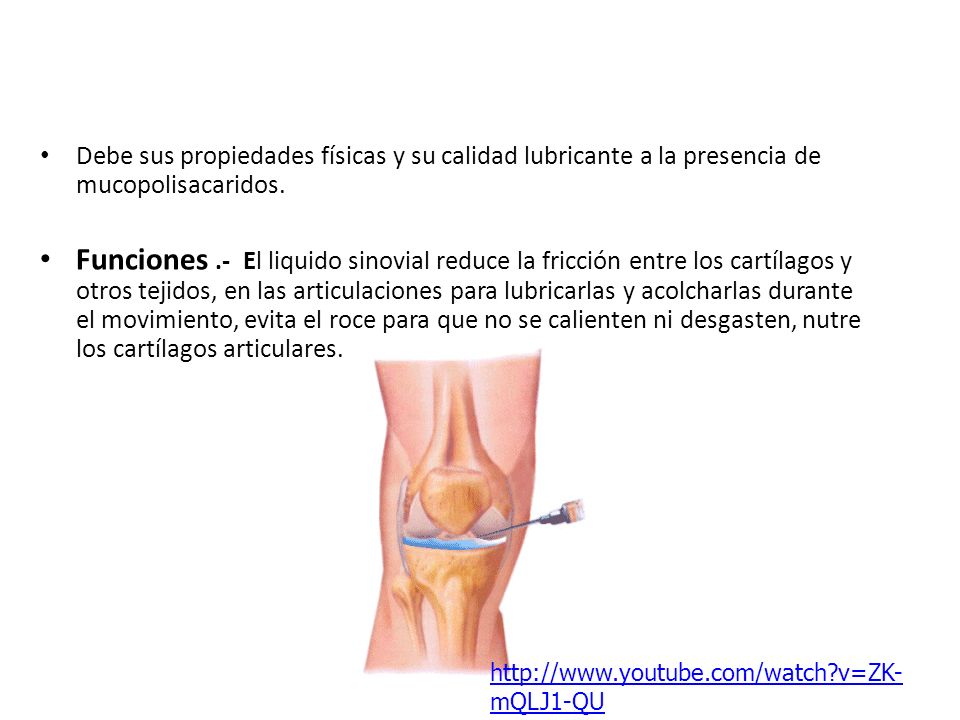 Debe sus propiedades físicas y su calidad lubricante a la presencia de mucopolisacaridos.