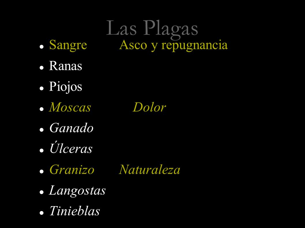 Las Plagas Sangre Asco y repugnancia Ranas Piojos Moscas Dolor Ganado