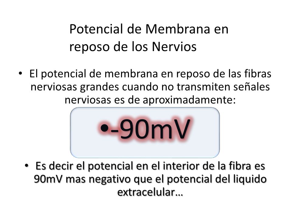 -90mV Potencial de Membrana en reposo de los Nervios