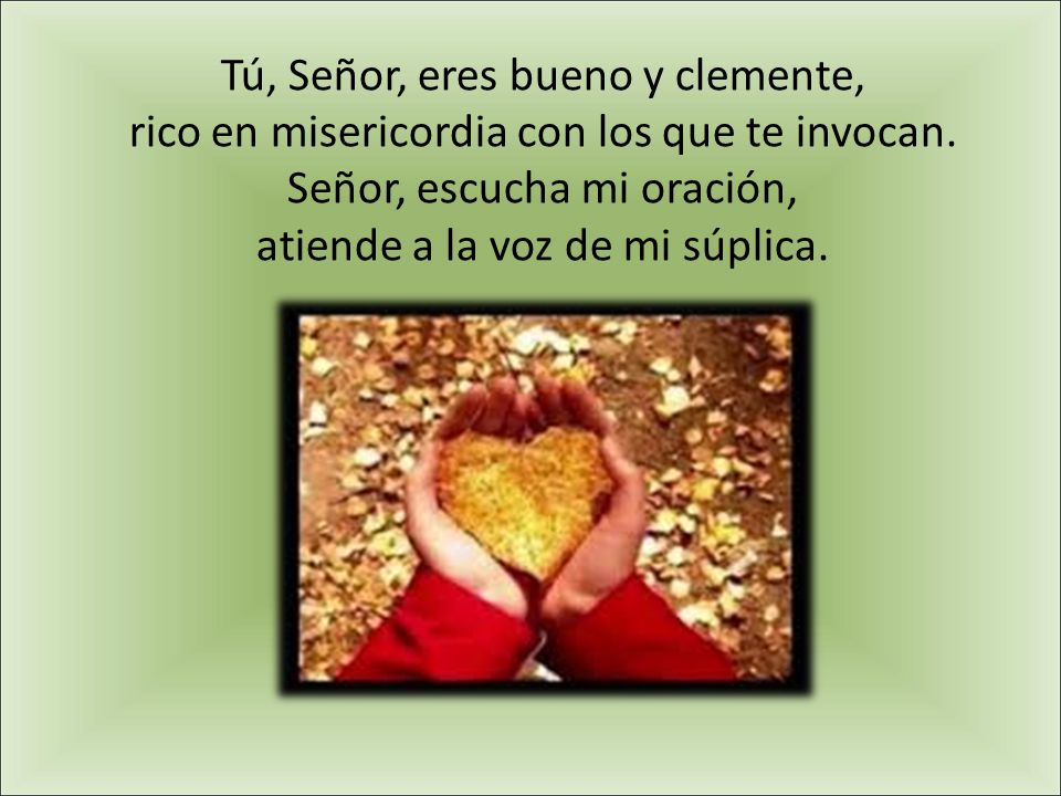 Tú, Señor, eres bueno y clemente, rico en misericordia con los que te invocan.