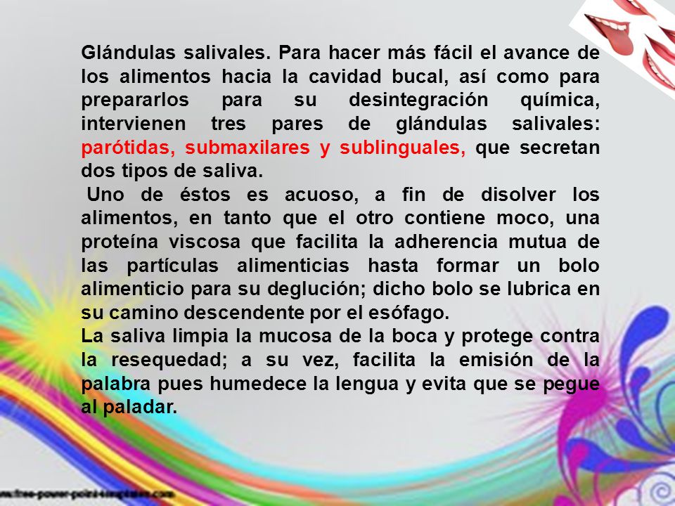 Glándulas salivales. Para hacer más fácil el avance de los alimentos hacia la cavidad bucal, así como para prepararlos para su desintegración química, intervienen tres pares de glándulas salivales: parótidas, submaxilares y sublinguales, que secretan dos tipos de saliva.