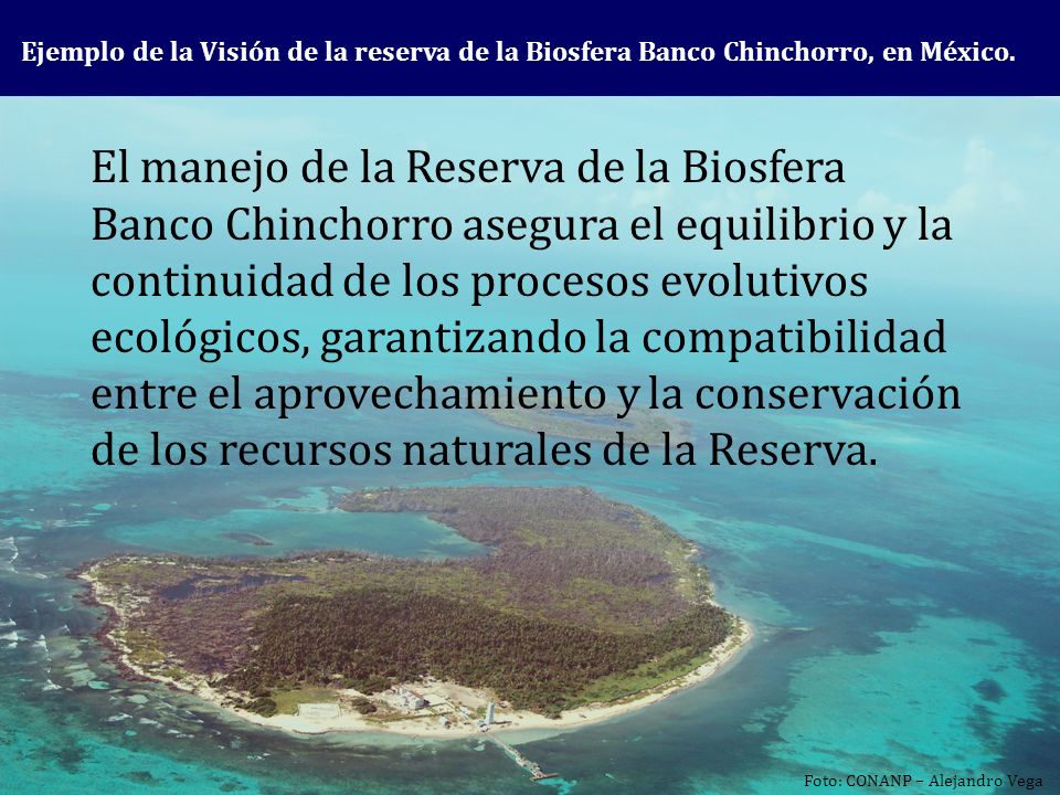 El manejo de la Reserva de la Biosfera Banco Chinchorro asegura el equilibrio y la continuidad de los procesos evolutivos ecológicos, garantizando la compatibilidad entre el aprovechamiento y la conservación de los recursos naturales de la Reserva.