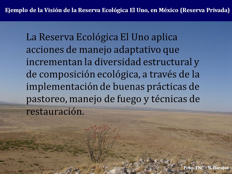 Ejemplo de la Visión de la Reserva Ecológica El Uno, en México (Reserva Privada)