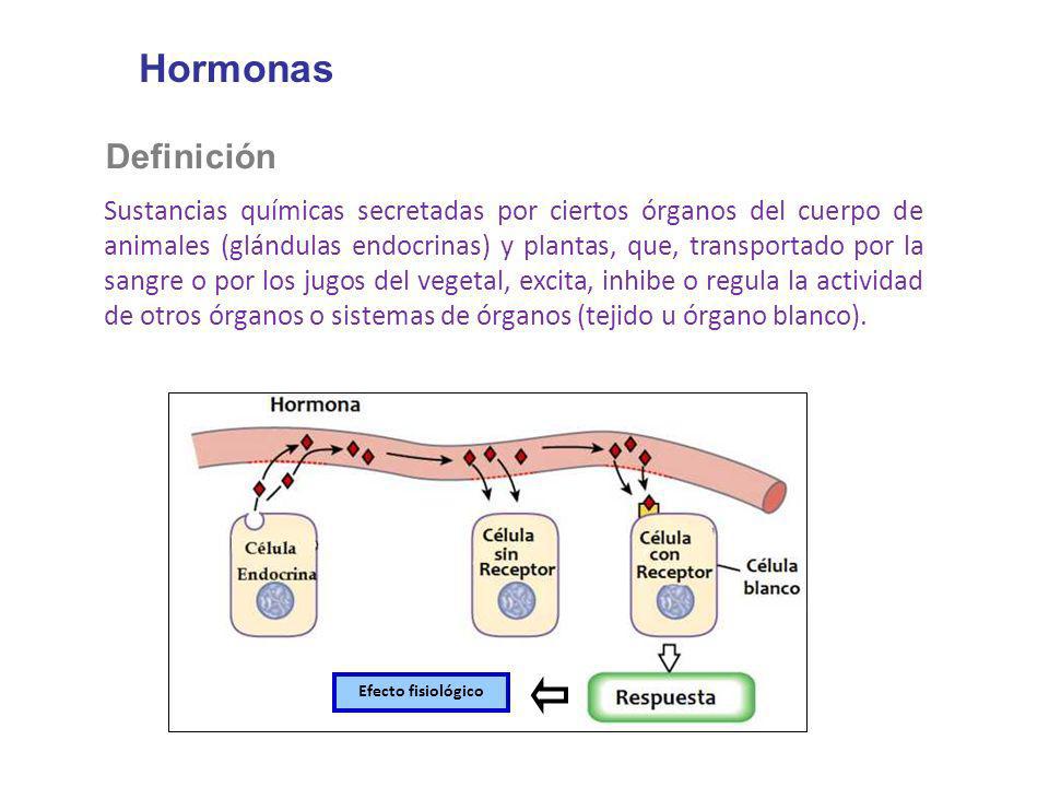 Hormonas Definición.
